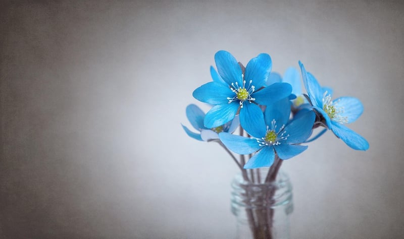 Floral Art
